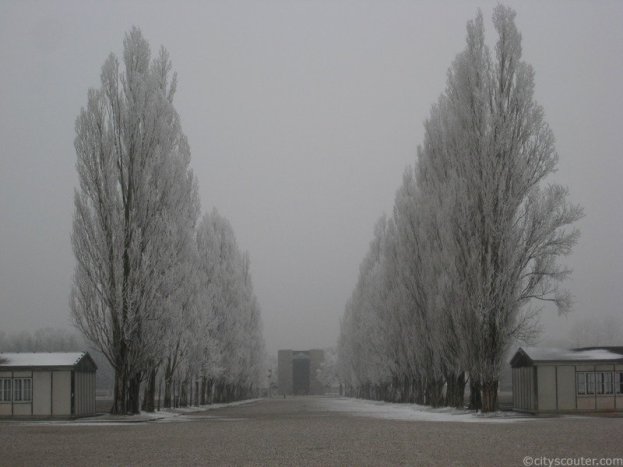Explanada sobre la que se levantó el campo de Dachau. A uno y otro lado de las hileras de cipreses estaban los barracones.